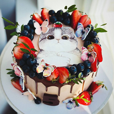 Торт "Котенок" купить - новомосковск.сладкоежкин.рф